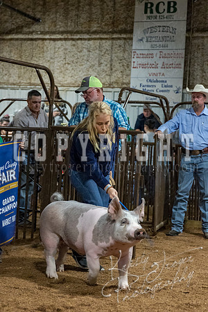 mayes_county_fair_premium_sale_2209