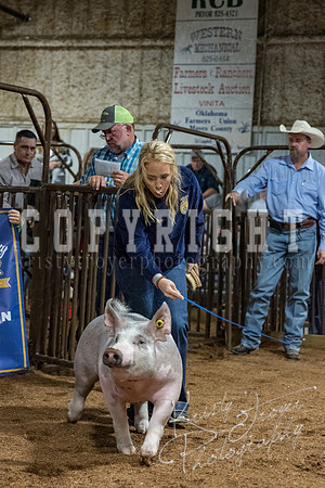 mayes_county_fair_premium_sale_2210