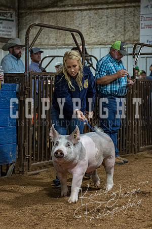 mayes_county_fair_premium_sale_2211