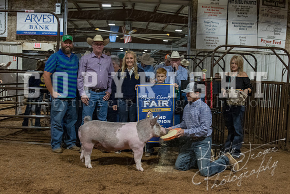 mayes_county_fair_premium_sale_2213