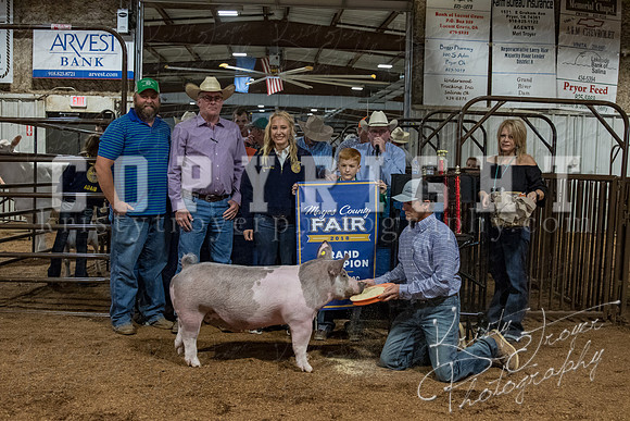 mayes_county_fair_premium_sale_2214