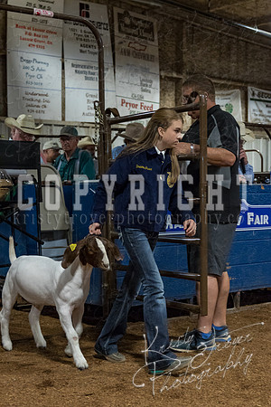 mayes_county_fair_premium_sale_2216