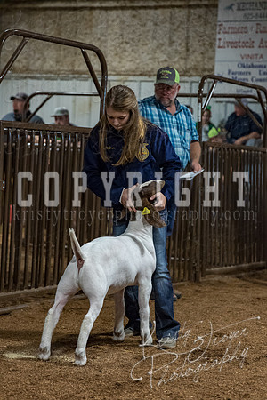 mayes_county_fair_premium_sale_2217