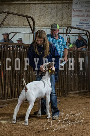 mayes_county_fair_premium_sale_2218