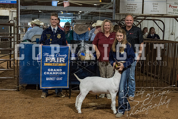mayes_county_fair_premium_sale_2219