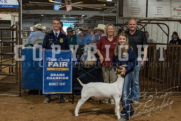 mayes_county_fair_premium_sale_2222