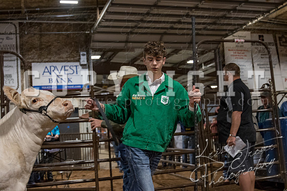 mayes_county_fair_premium_sale_2223