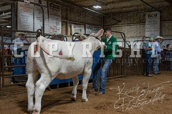 mayes_county_fair_premium_sale_2224