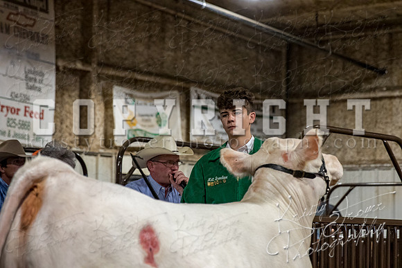 mayes_county_fair_premium_sale_2225