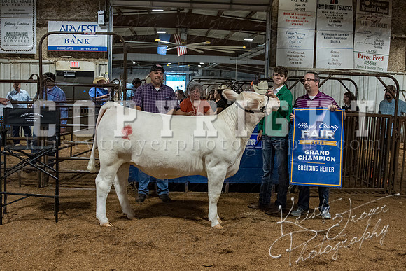 mayes_county_fair_premium_sale_2226