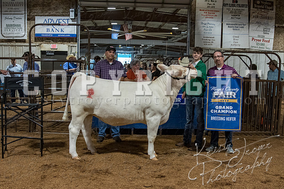 mayes_county_fair_premium_sale_2227