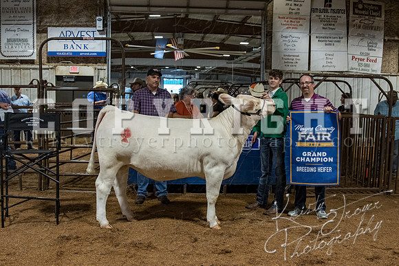 mayes_county_fair_premium_sale_2229