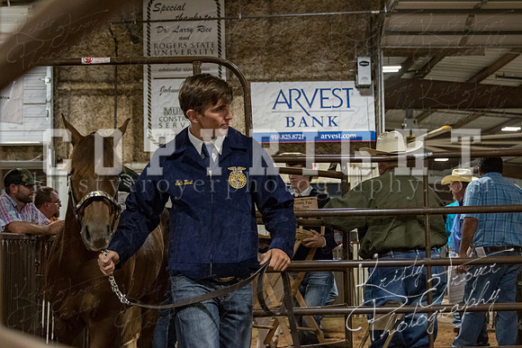 mayes_county_fair_premium_sale_2230