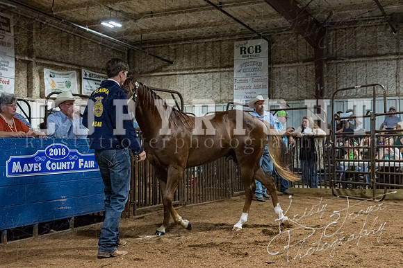 mayes_county_fair_premium_sale_2231
