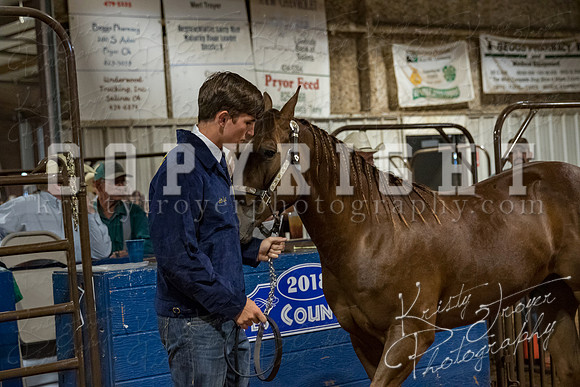 mayes_county_fair_premium_sale_2233