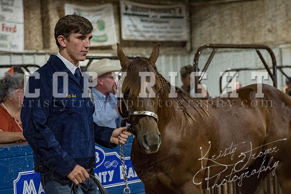mayes_county_fair_premium_sale_2234