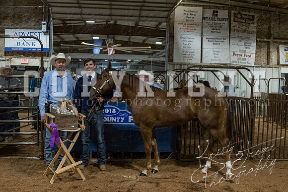 mayes_county_fair_premium_sale_2235