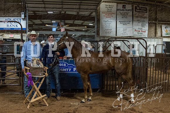 mayes_county_fair_premium_sale_2237