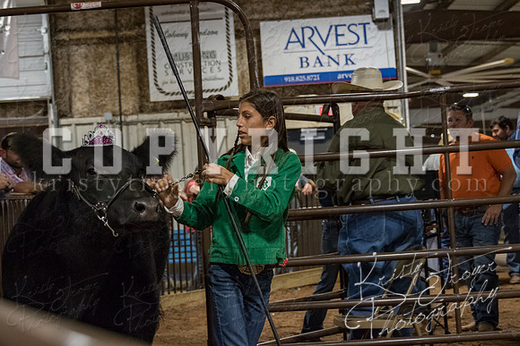 mayes_county_fair_premium_sale_2238