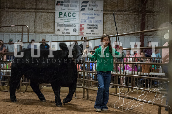 mayes_county_fair_premium_sale_2239