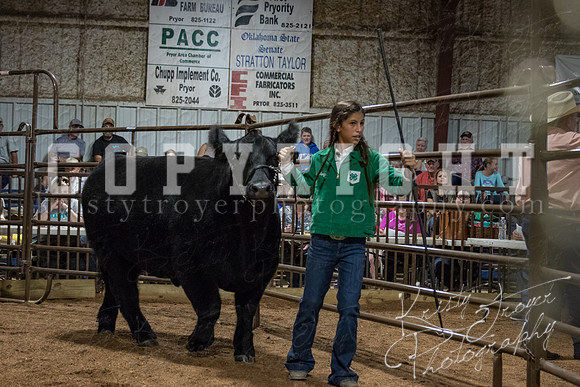 mayes_county_fair_premium_sale_2240