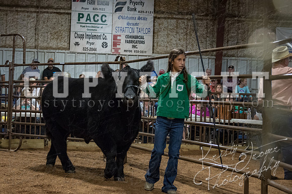 mayes_county_fair_premium_sale_2241