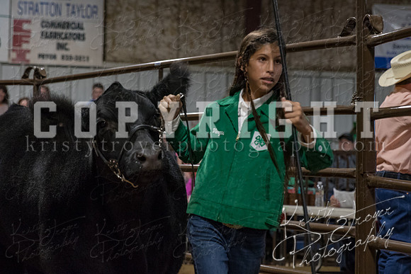 mayes_county_fair_premium_sale_2242
