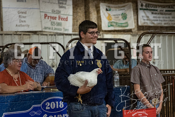 mayes_county_fair_premium_sale_2248