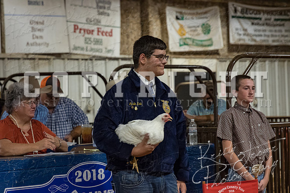 mayes_county_fair_premium_sale_2249