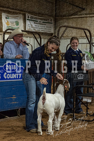 mayes_county_fair_premium_sale_2253