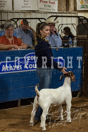 mayes_county_fair_premium_sale_2254