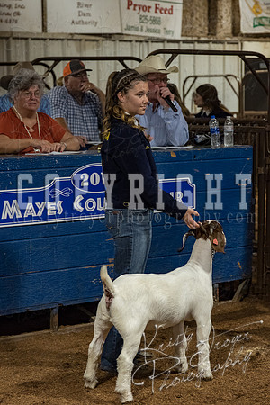 mayes_county_fair_premium_sale_2255