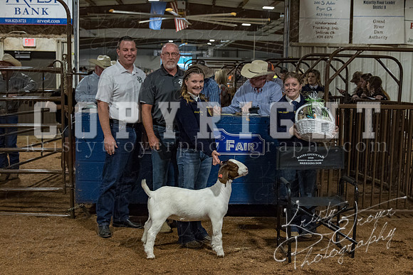 mayes_county_fair_premium_sale_2259