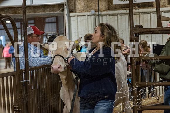 mayes_county_fair_premium_sale_2260