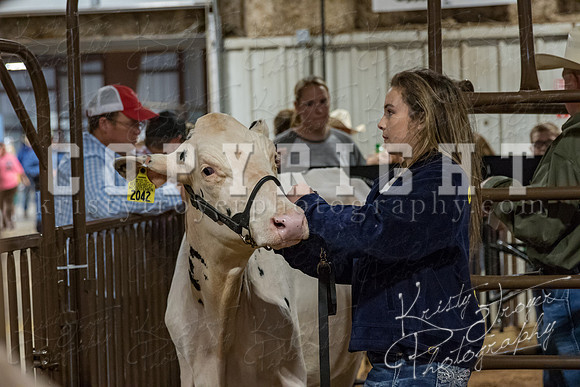 mayes_county_fair_premium_sale_2261