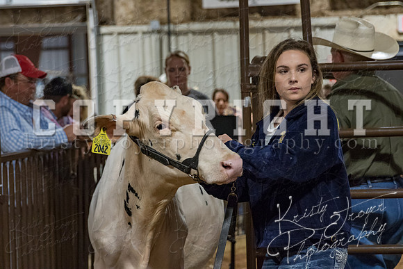 mayes_county_fair_premium_sale_2262