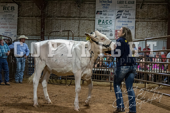 mayes_county_fair_premium_sale_2263