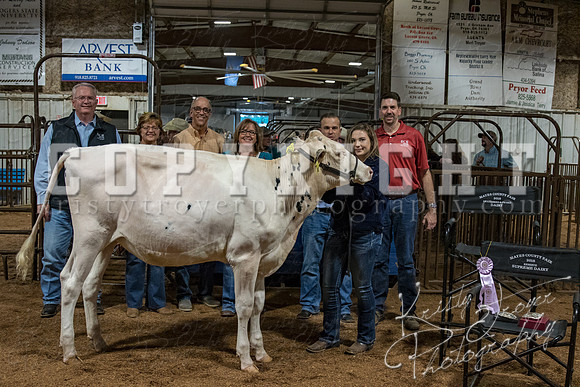 mayes_county_fair_premium_sale_2266