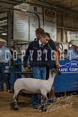 mayes_county_fair_premium_sale_2267