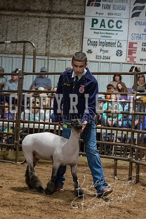 mayes_county_fair_premium_sale_2268
