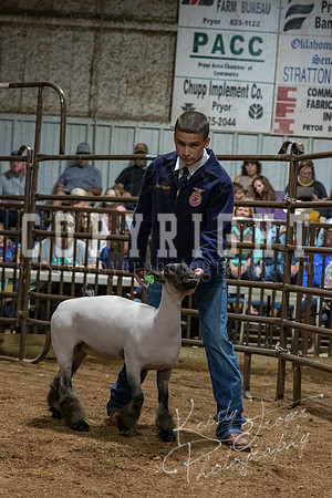 mayes_county_fair_premium_sale_2269
