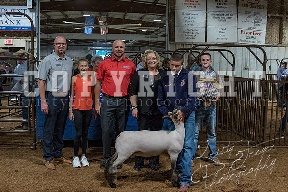 mayes_county_fair_premium_sale_2271