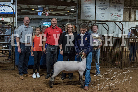 mayes_county_fair_premium_sale_2272