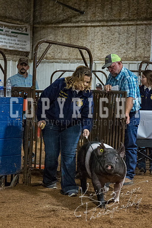 mayes_county_fair_premium_sale_2274