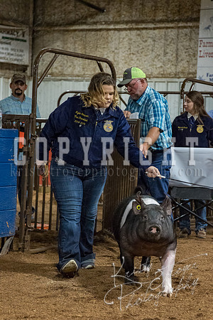 mayes_county_fair_premium_sale_2275