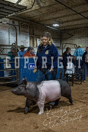 mayes_county_fair_premium_sale_2276