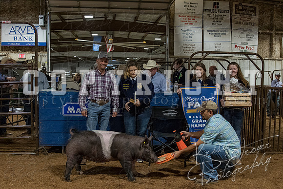 mayes_county_fair_premium_sale_2277