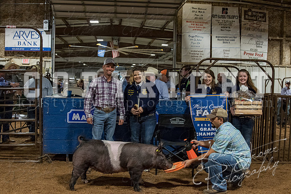 mayes_county_fair_premium_sale_2278