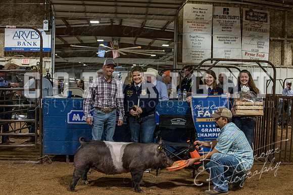 mayes_county_fair_premium_sale_2279