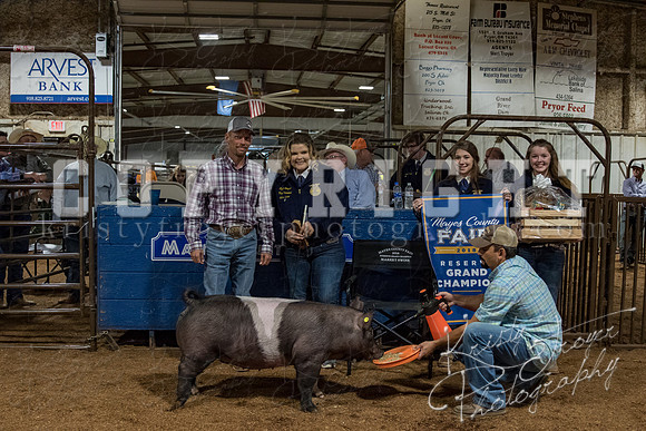 mayes_county_fair_premium_sale_2281